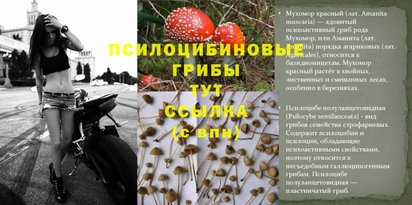 мескалин Беломорск