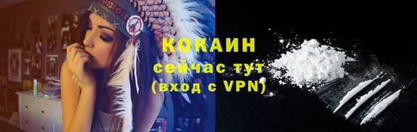 гидра Белокуриха