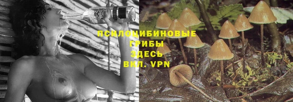 гидра Белокуриха