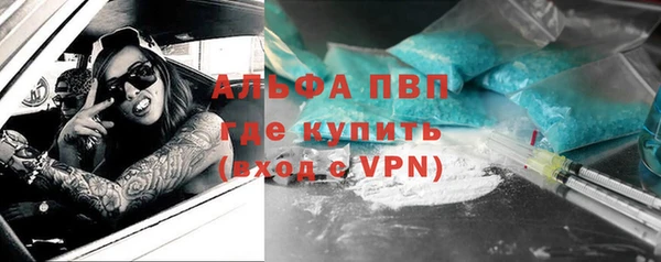 гидра Белокуриха