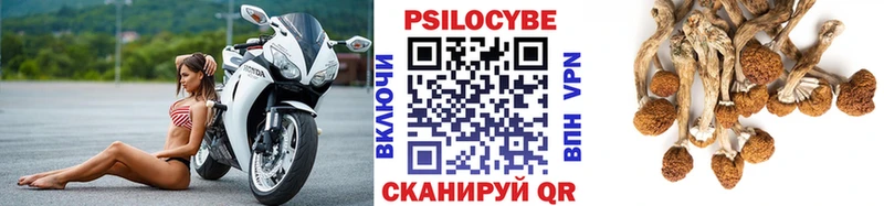 Псилоцибиновые грибы прущие грибы Воркута