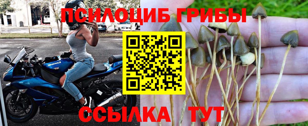 Воркута  хочу наркоту  Вход с VPN  Галлюциногенные грибы ЛСД 