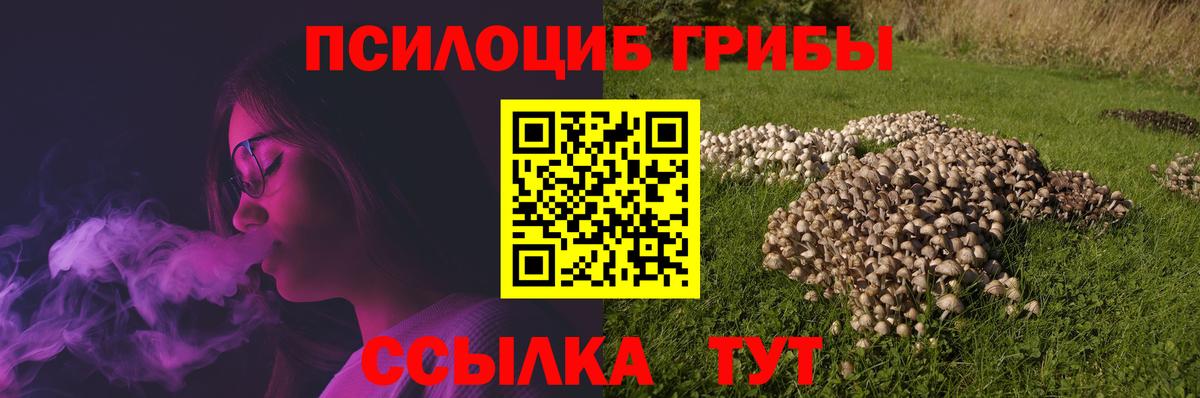 Псилоцибиновые грибы GOLDEN TEACHER Воркута